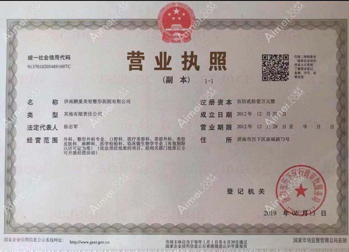 济南鹏爱美容整形医院营业执照