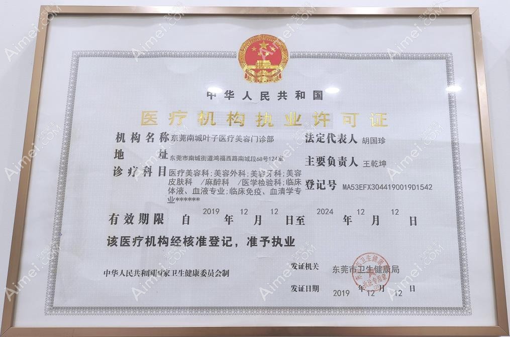 东莞南城叶子医疗美容门诊部医疗机构执业许可证